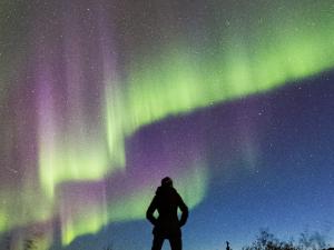 0-010ba5834f2c54b9ac5eaf92dee30631_explorefairbanksnorthernlightsviewingprofileadimage