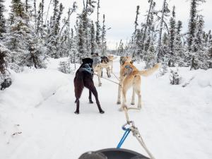 0-fab08d408f7ac2ccb70e495cd7203a6b_amsjanuary2019hr-123