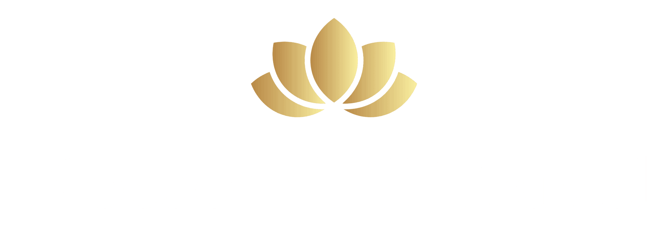 Blossom Hill Travel